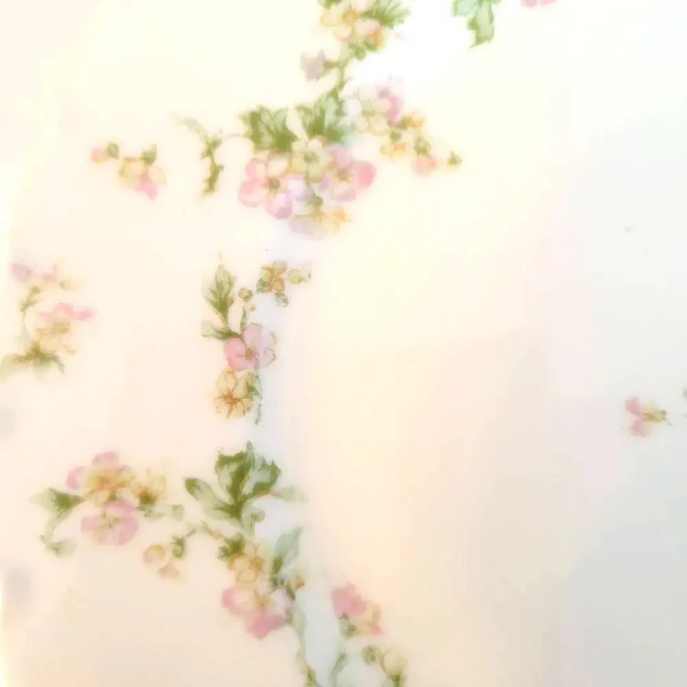 Vintage Haviland Limoges Bread Plate Pink Yellow Floral Cottagecore Set of 4
